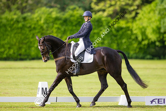 Houghton International