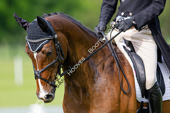 Houghton International