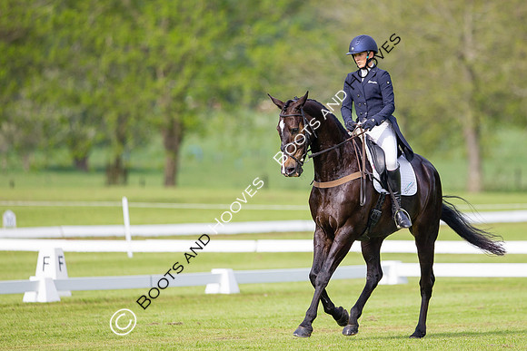 Houghton International