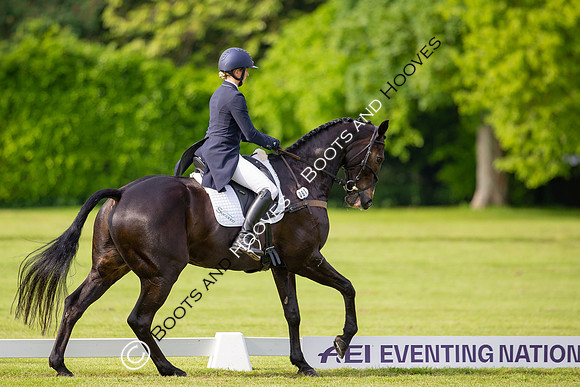 Houghton International