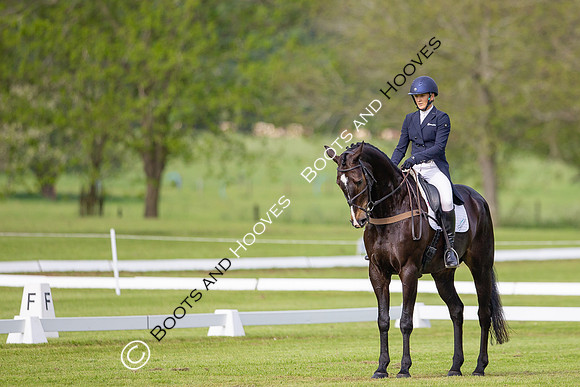 Houghton International