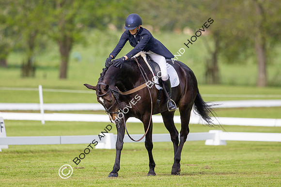 Houghton International