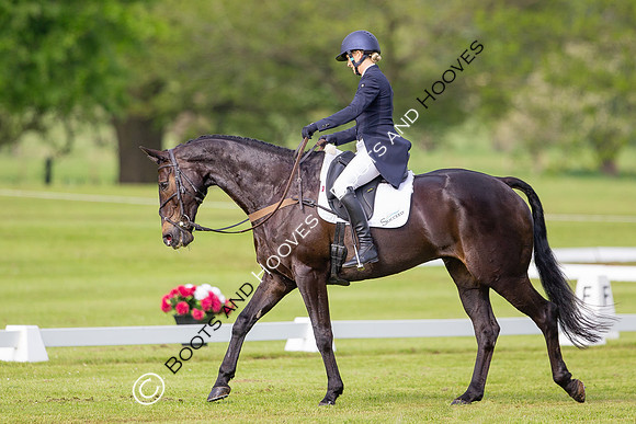 Houghton International