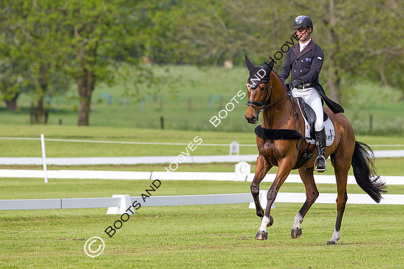Houghton International