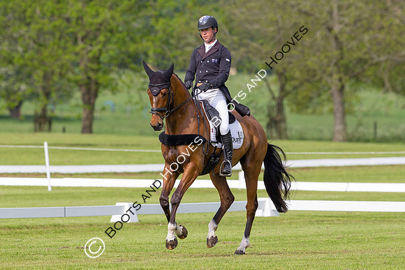 Houghton International