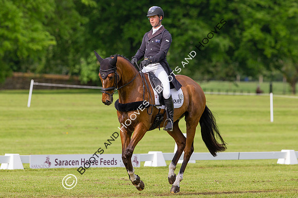Houghton International