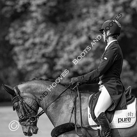 Houghton International