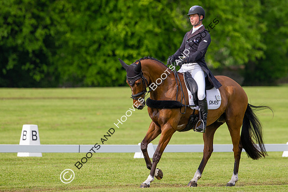 Houghton International