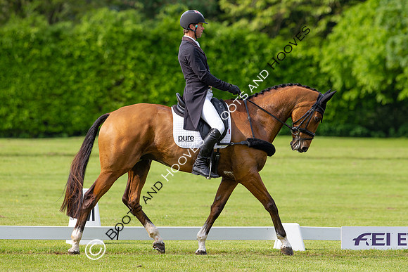 Houghton International