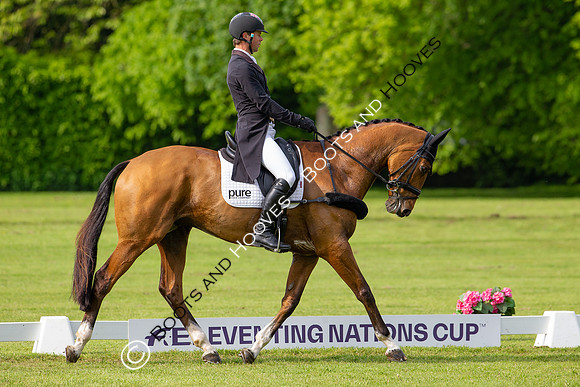 Houghton International