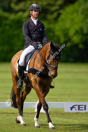 Houghton International
