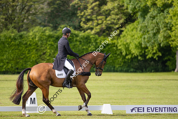 Houghton International
