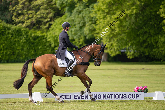Houghton International