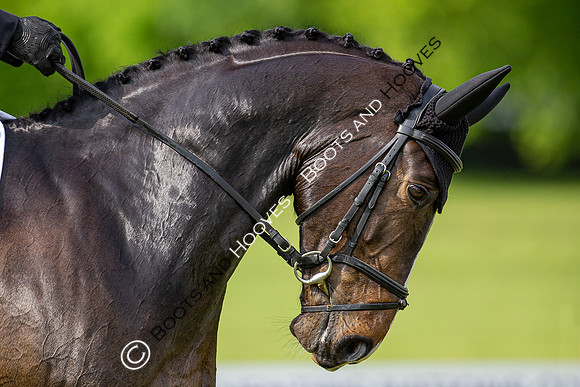 Houghton International