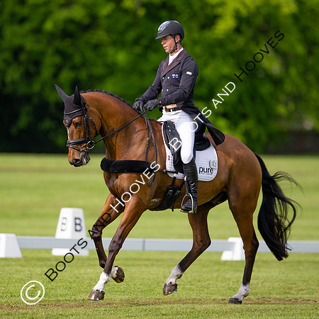 Houghton International