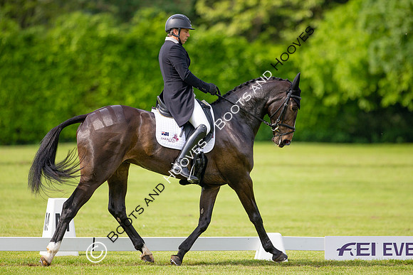 Houghton International