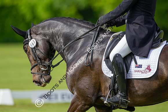 Houghton International