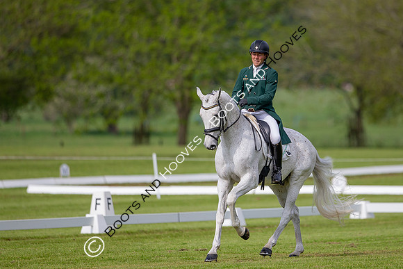 Houghton International