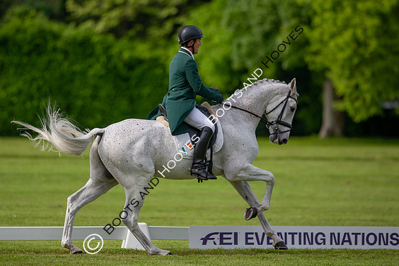 Houghton International