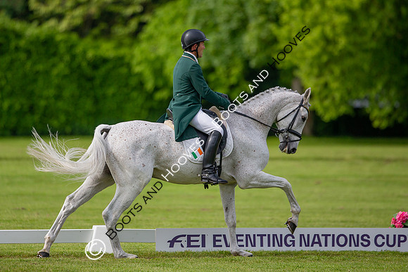 Houghton International