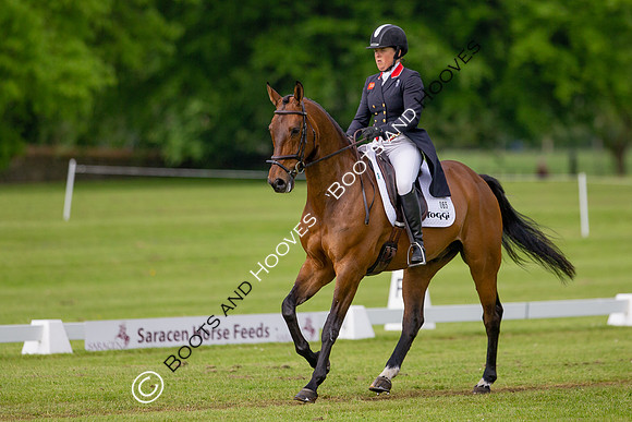 Houghton International