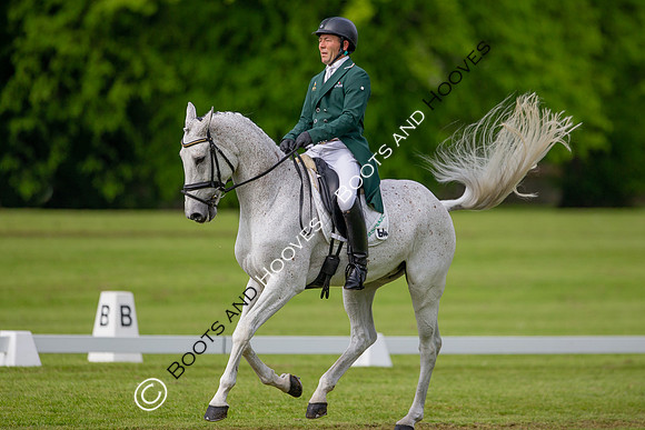 Houghton International
