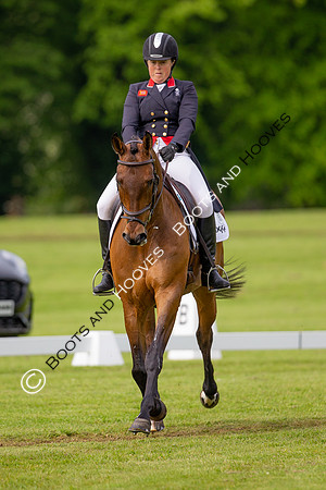 Houghton International
