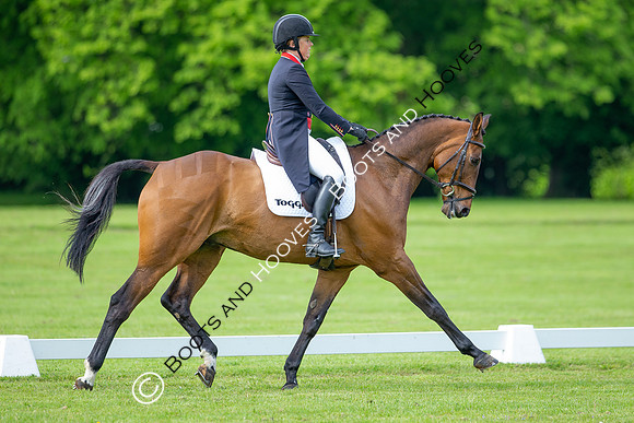 Houghton International