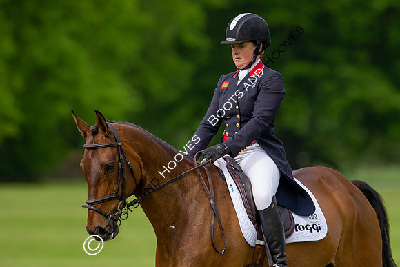 Houghton International