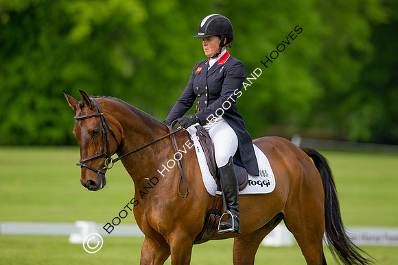 Houghton International