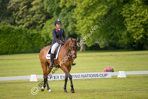 Houghton International