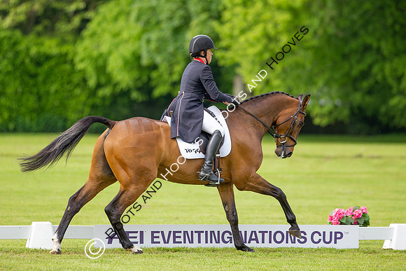 Houghton International