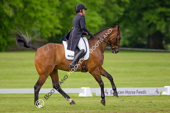 Houghton International