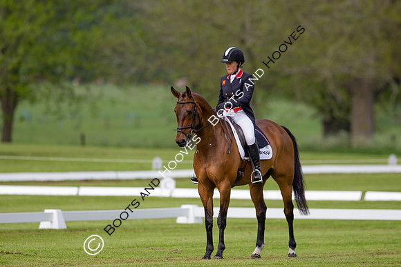 Houghton International
