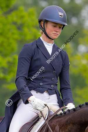 Houghton International