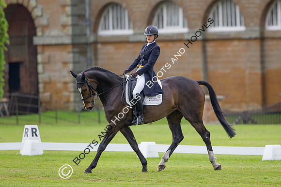 Houghton International