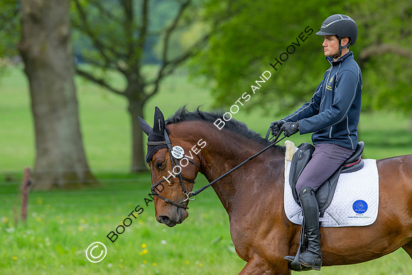 Houghton International