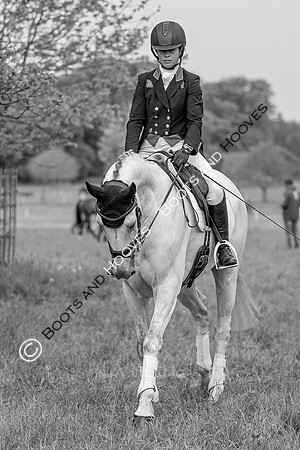 Houghton International