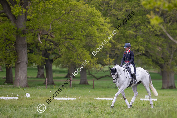 Houghton International