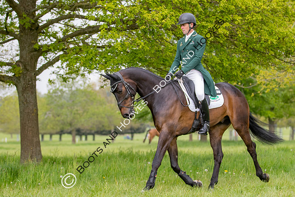 Houghton International
