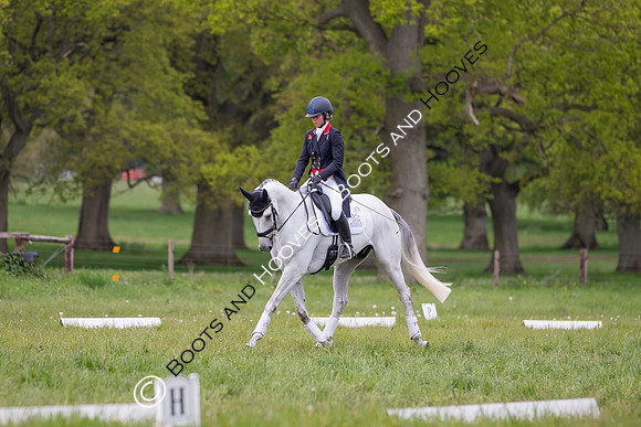 Houghton International
