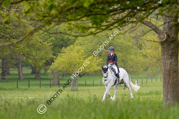 Houghton International