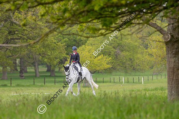 Houghton International