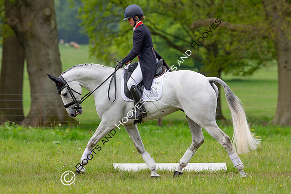 Houghton International