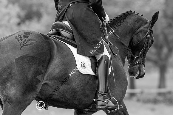 Houghton International