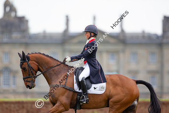 Houghton International