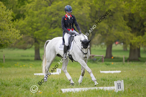 Houghton International