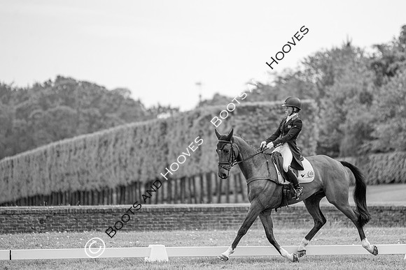Houghton International