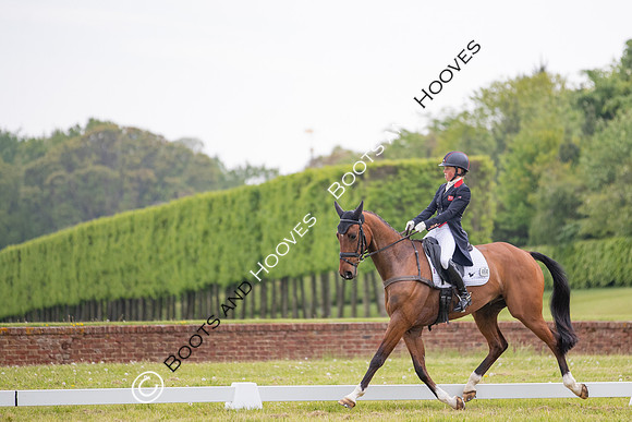 Houghton International