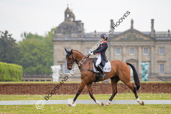 Houghton International